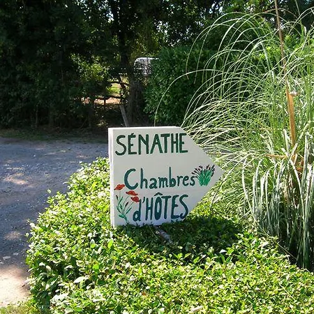 D'hotes Senathe